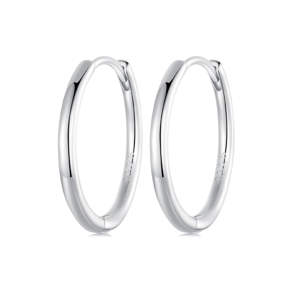 925 Sterling Silver & White Gold Plated Earrings for Women