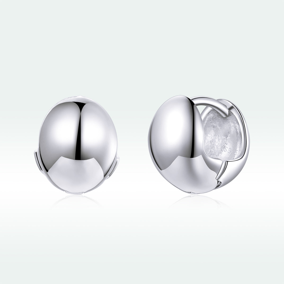 S925 Sterling Silver Platinum Plated Earrings for Women