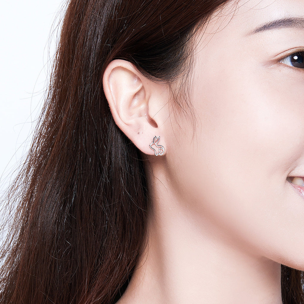 S925 Sterling Silver Plated Platinum Earrings