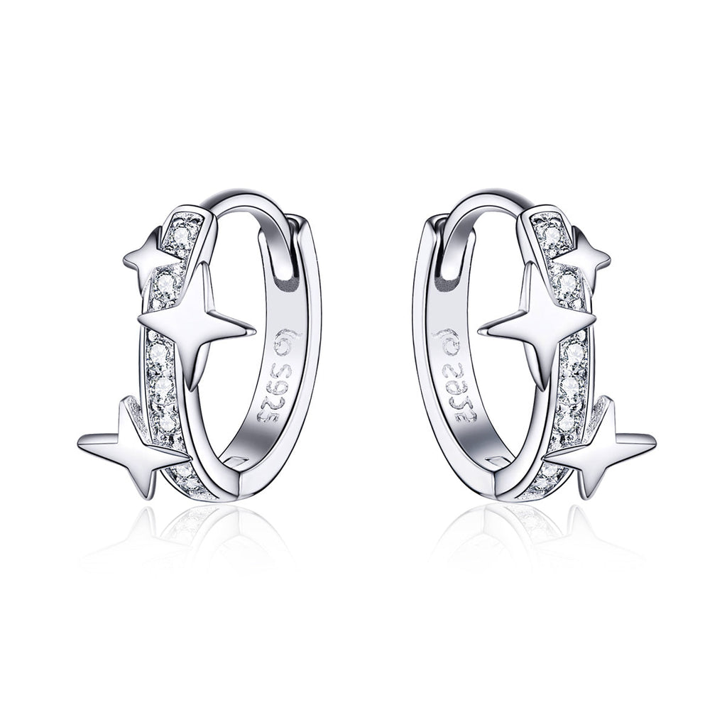 S925 Sterling SilverCZ Earrings for Women