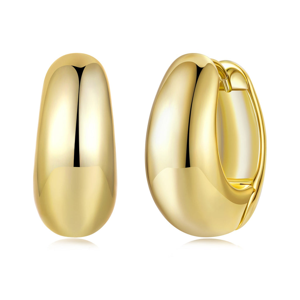 925 Sterling Silver White Gold Plated Earrings