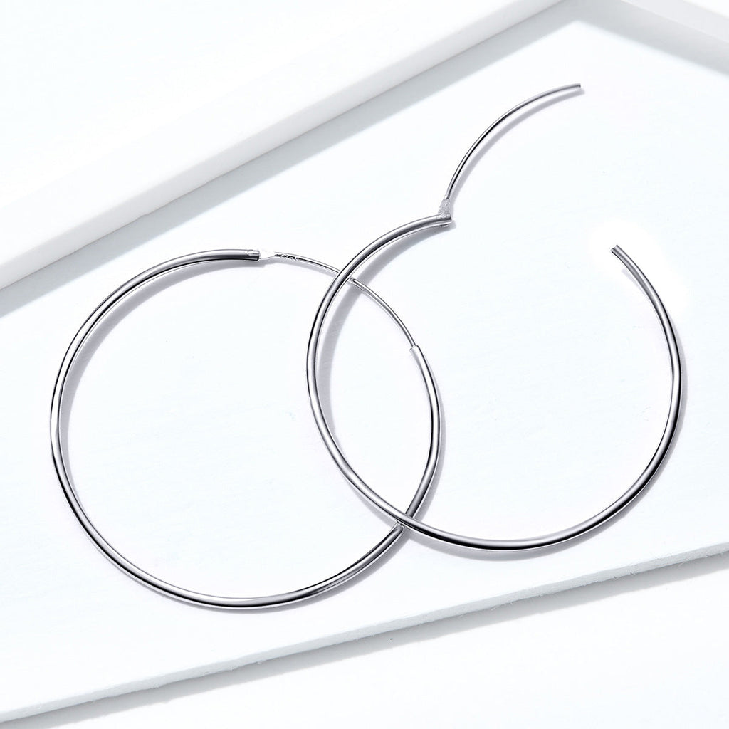 925 Sterling Silver Earrings for Women