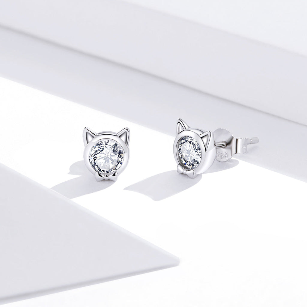 925 Sterling Silver Plated Platinum CZ Earrings for Women