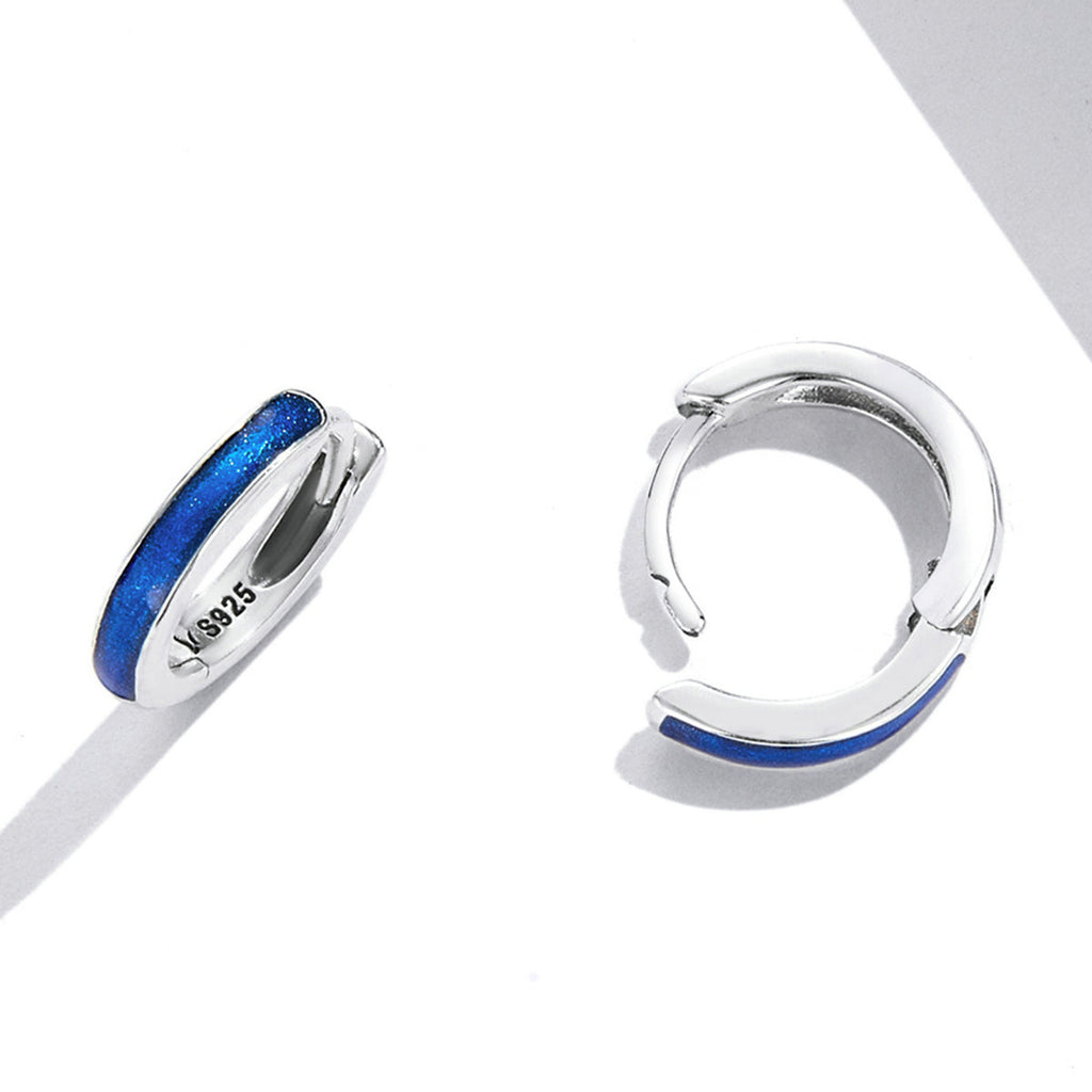 S925 Oxidized Silver Enamel Earrings