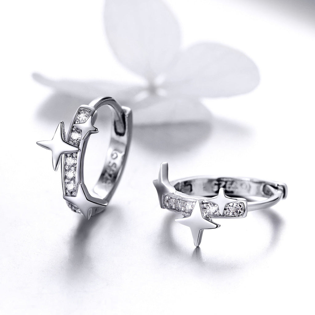 S925 Sterling SilverCZ Earrings for Women