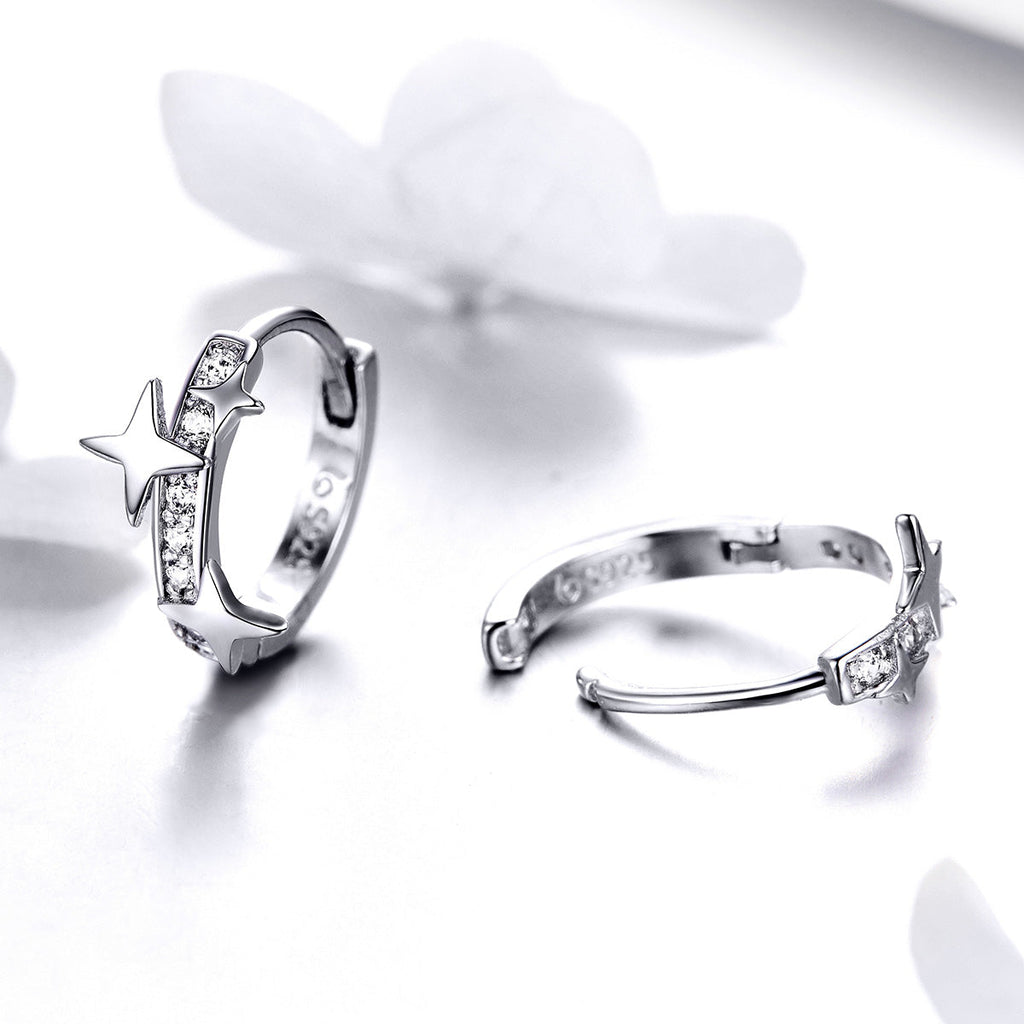 S925 Sterling SilverCZ Earrings for Women