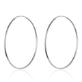 S925 Sterling Silver Earrings for Women