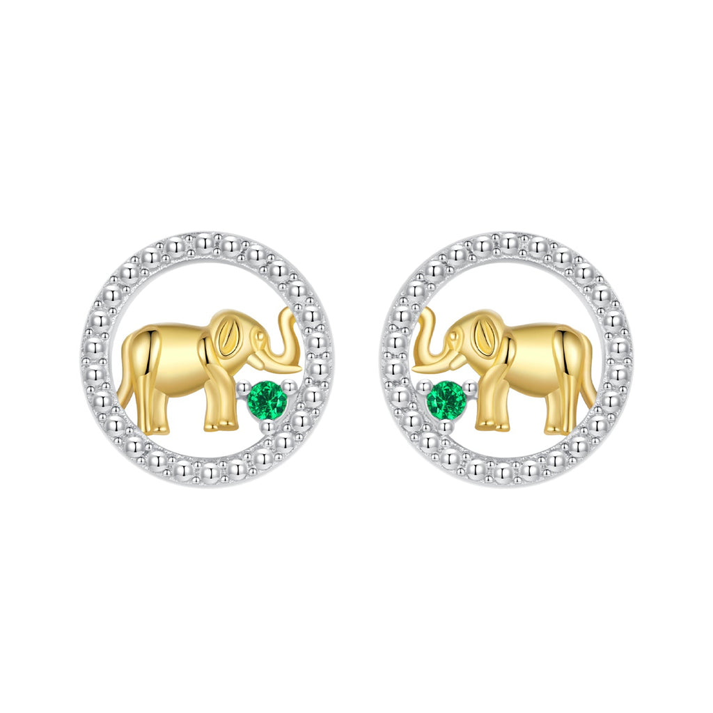 925 Sterling Silver Earrings with CZ in White Gold Plated for Women
