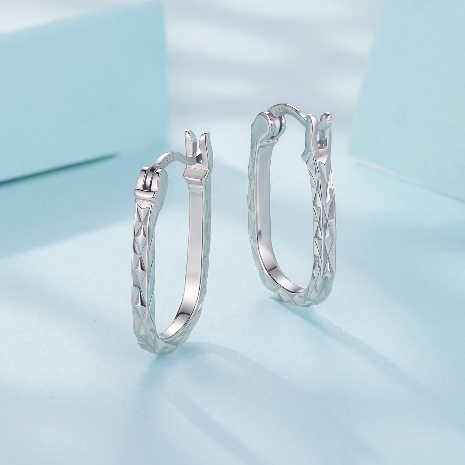 925 Sterling Silver Hoop Earrings for Women