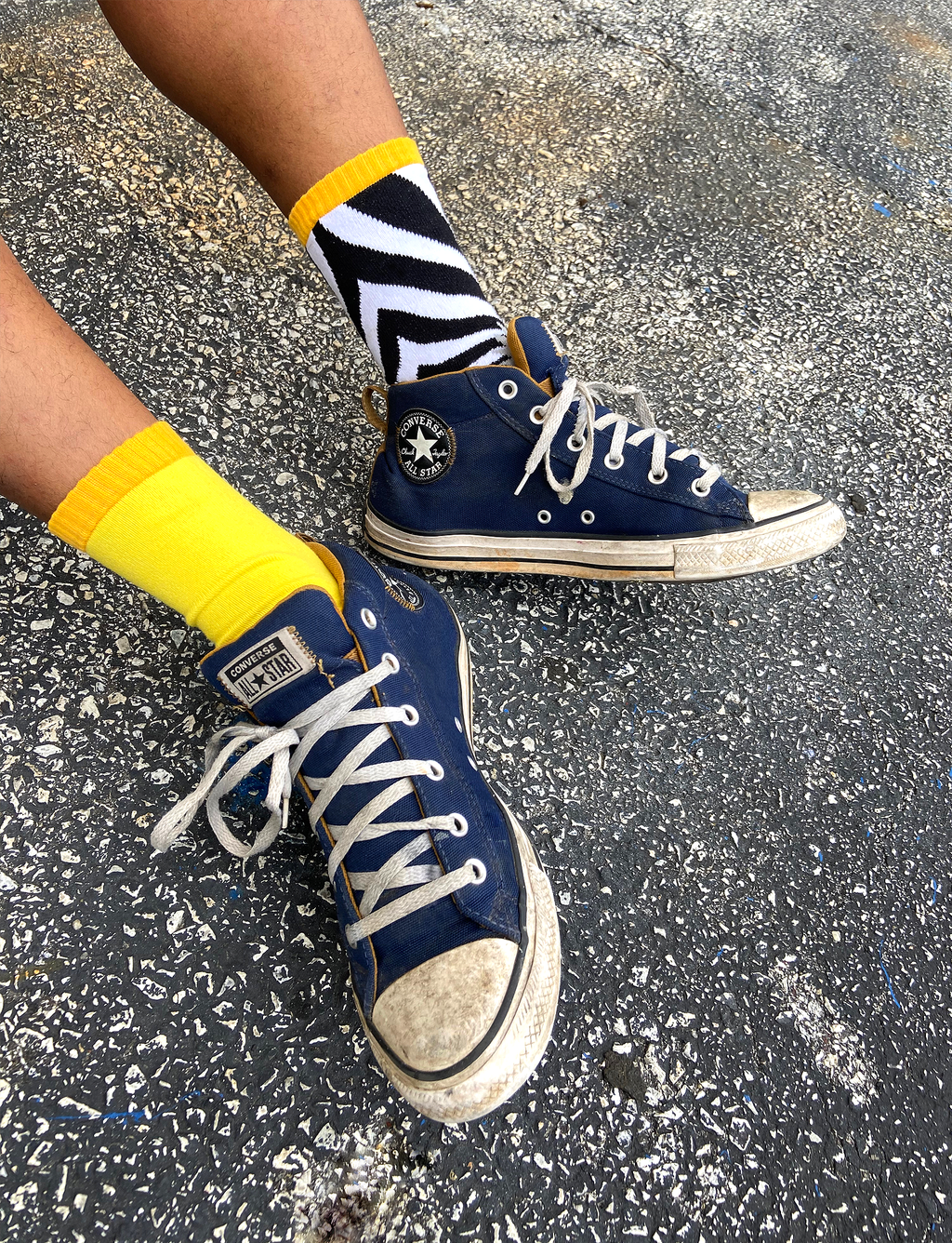 ADULT LION &amp; ZEBRA SOCKS