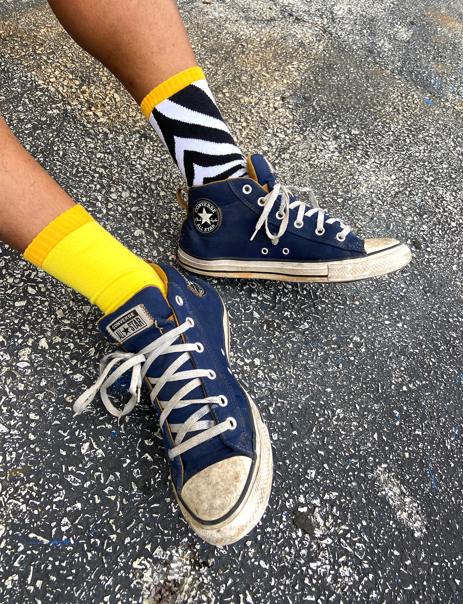 ADULT LION &amp; ZEBRA SOCKS